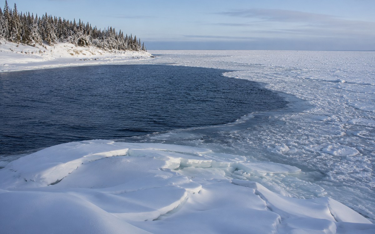 Морской лёд у таёжного берега Белого моря