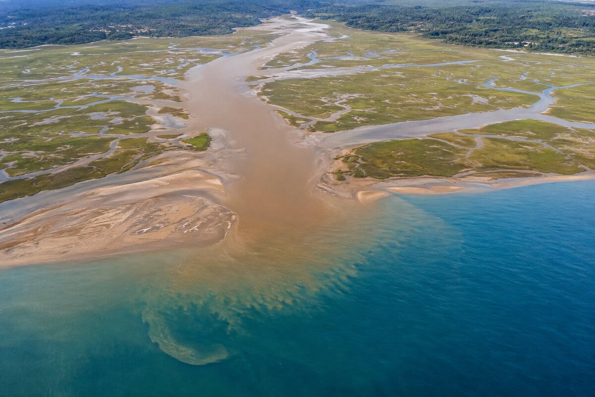 Речная и морская вода в эстуарии