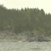 Панорамный вид на Ладожское озеро