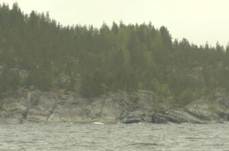 Панорамный вид на Ладожское озеро