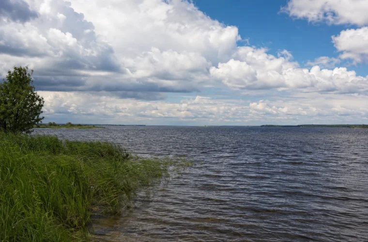 Озеро Ильмень в Новгородской области