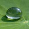 Крупная капля воды на гладкой поверхности