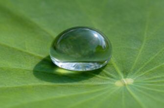 Крупная капля воды на гладкой поверхности