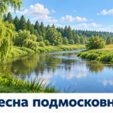 Подмосковная Десна среди лугов и смешанного леса